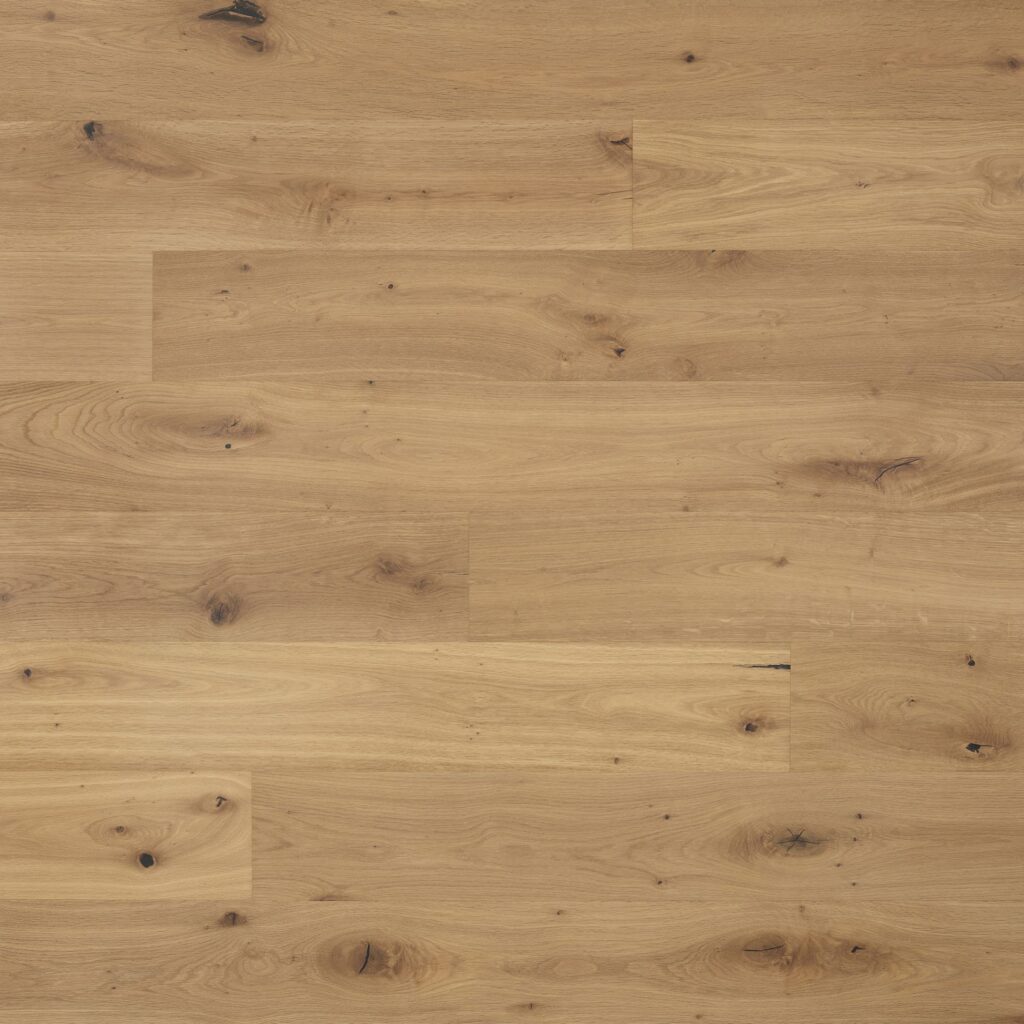 Truffle | 4828