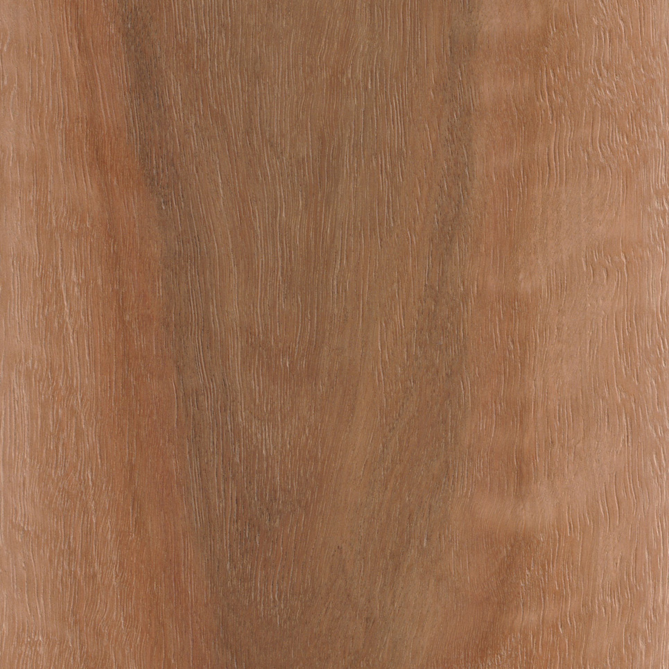 Barrington Spotted Gum 210mm
